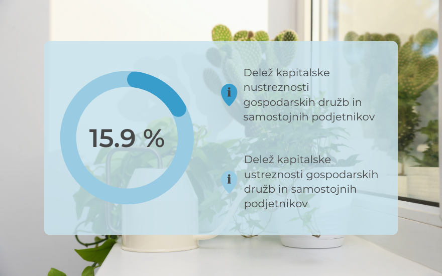 kapitalska-neustreznost-ebonitete.si